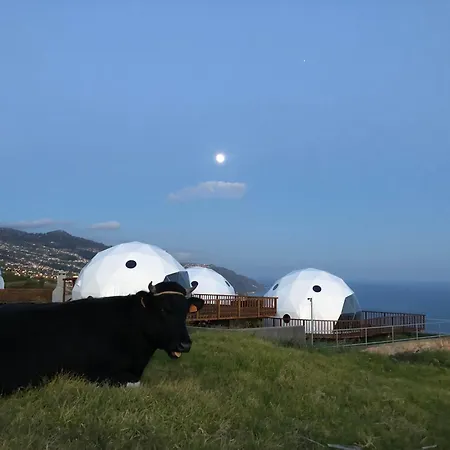 Soul Glamping -luxury -eco -retreat *